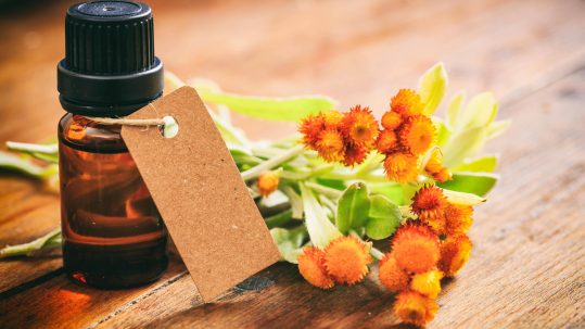 Smilje je dobro za kožu Imortelle